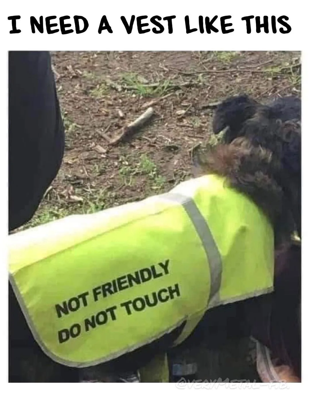 service animal meme