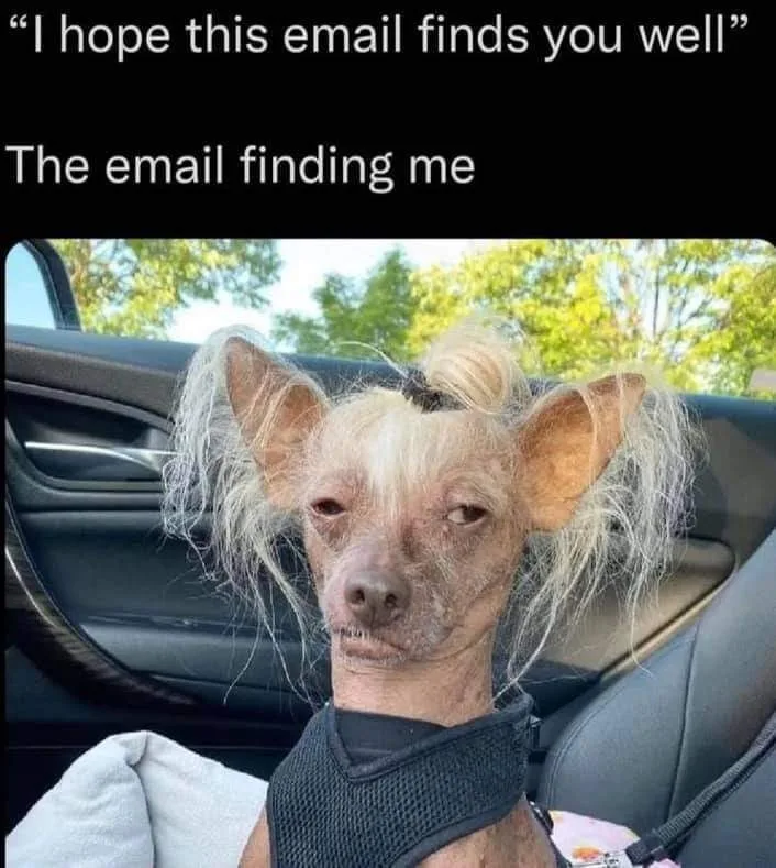 email meme