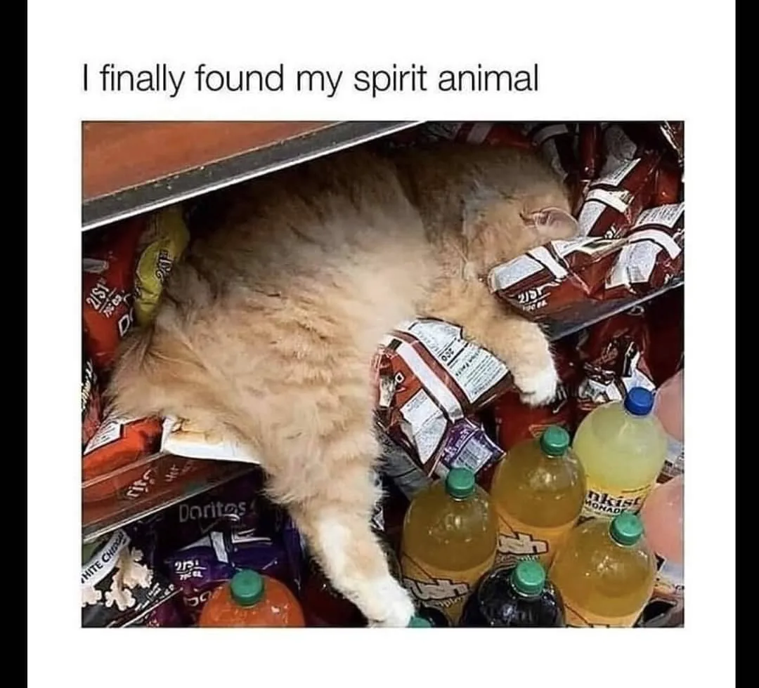 spirit guide meme