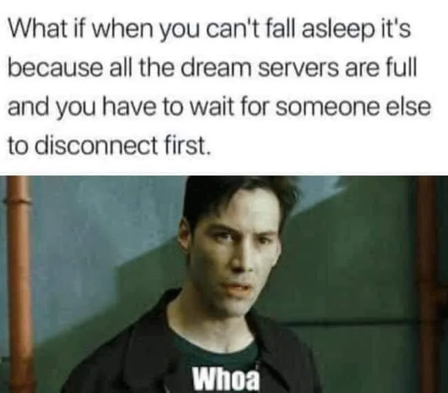simulation meme