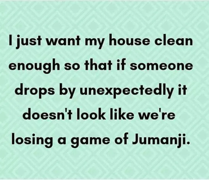 cleanliness meme
