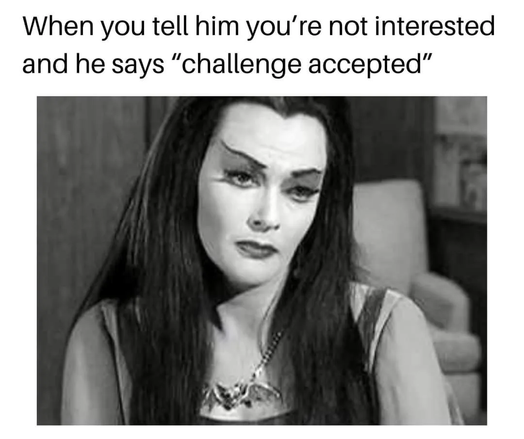 persistence meme