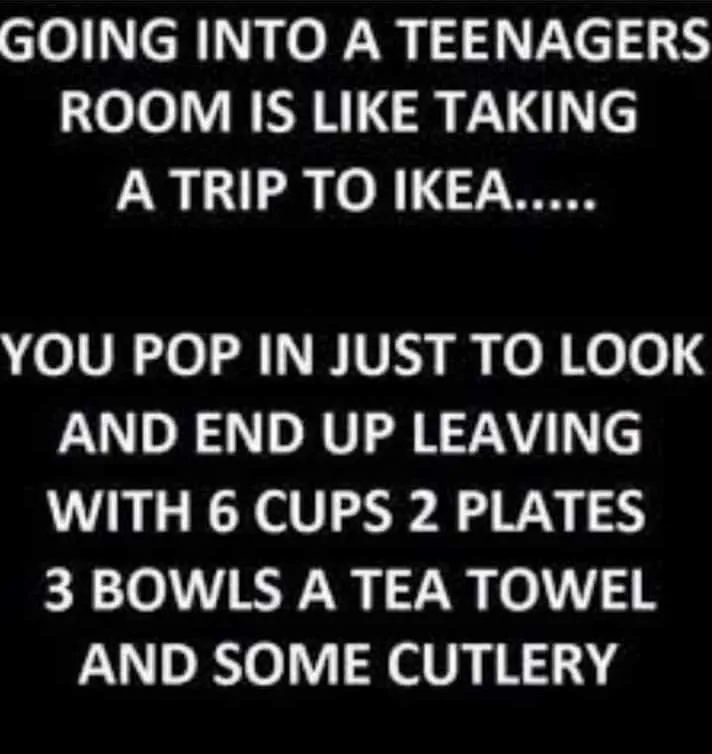 Ikea meme