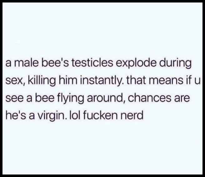 bee meme