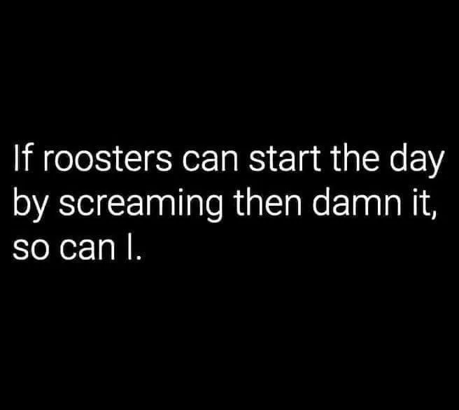 rooster meme