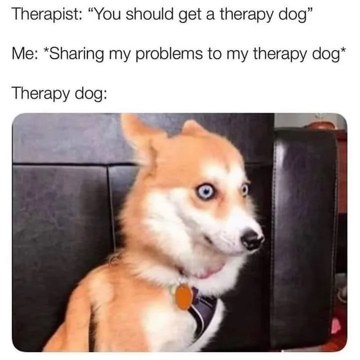 emotional support animal meme