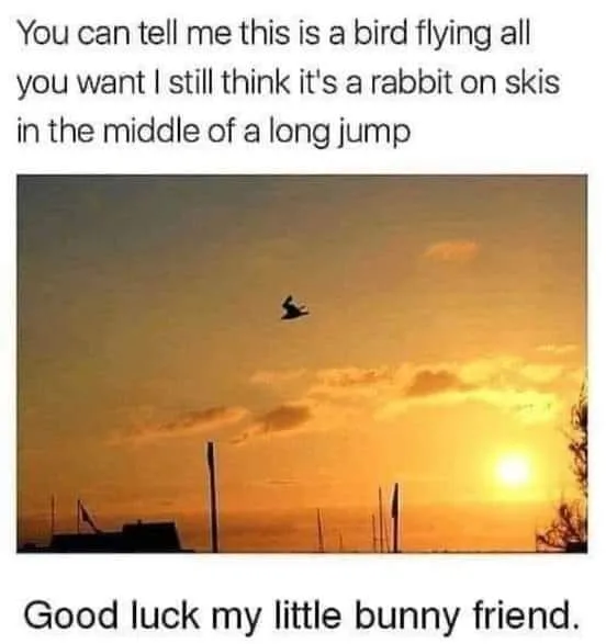 skiing meme
