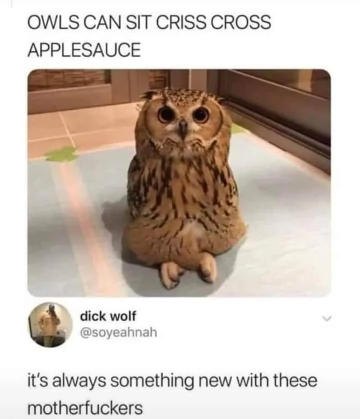 sitting meme