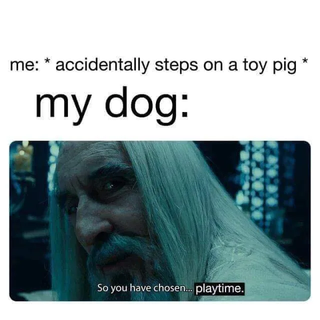 squeaky toy meme