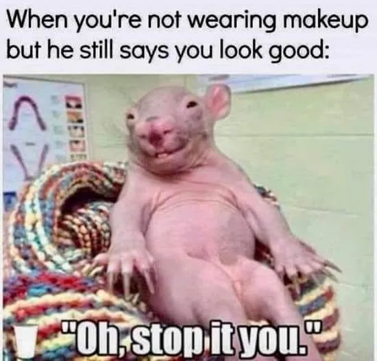 compliment meme