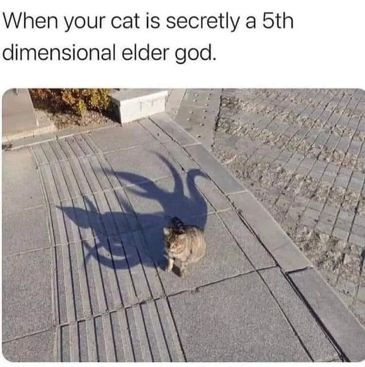 Kurt Gödel meme