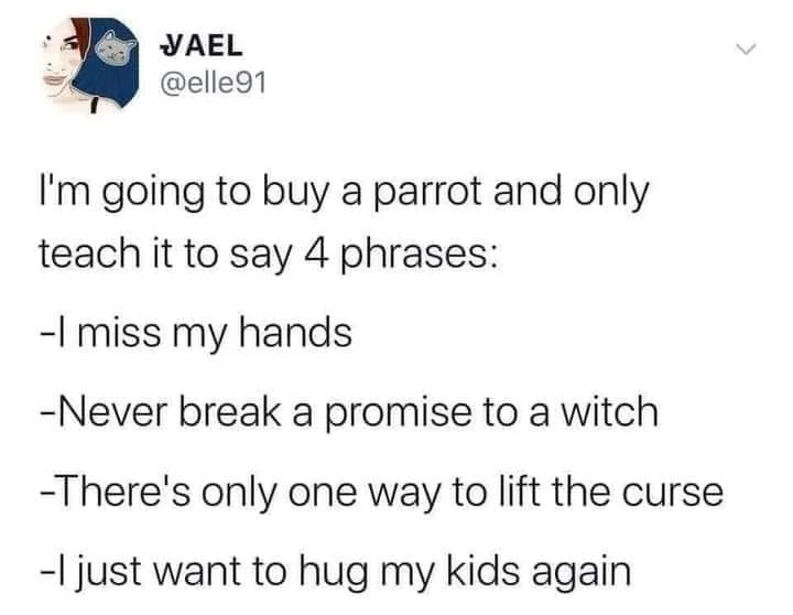 parrot meme