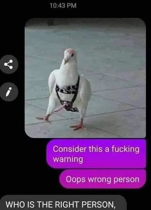 warning meme