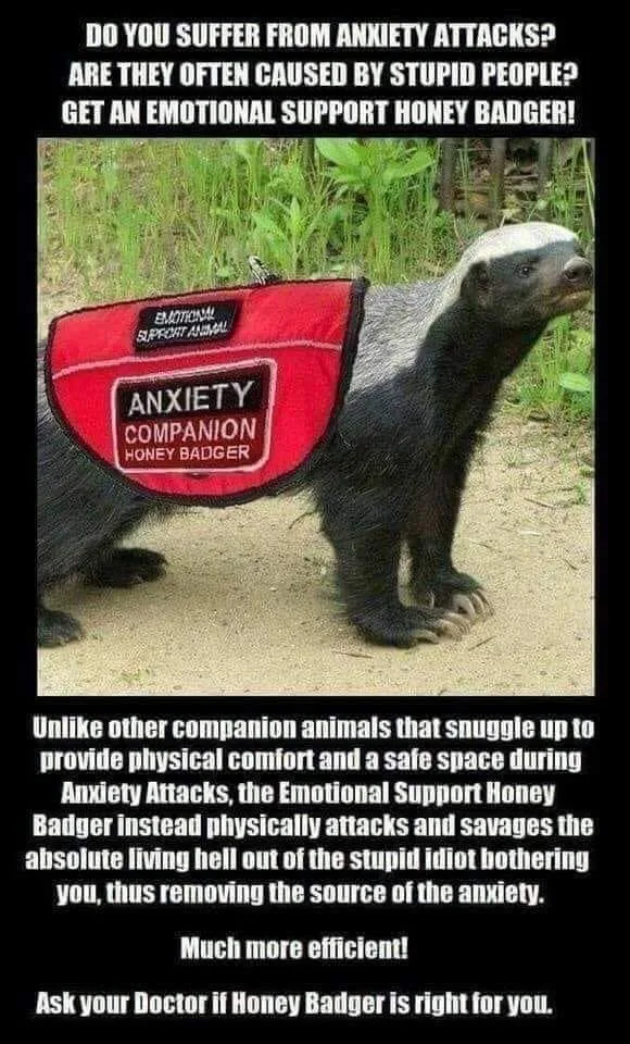 service animal meme