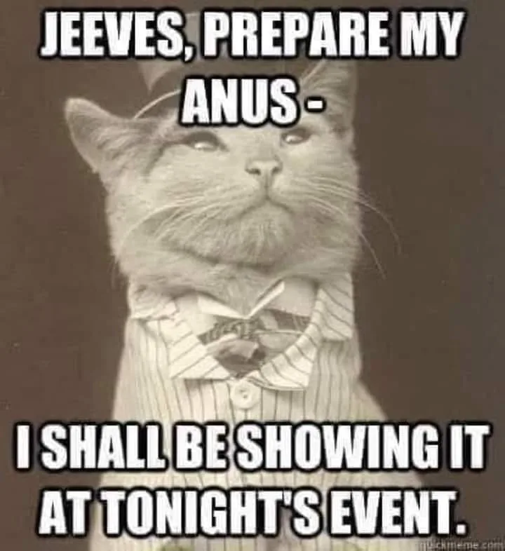 anus meme