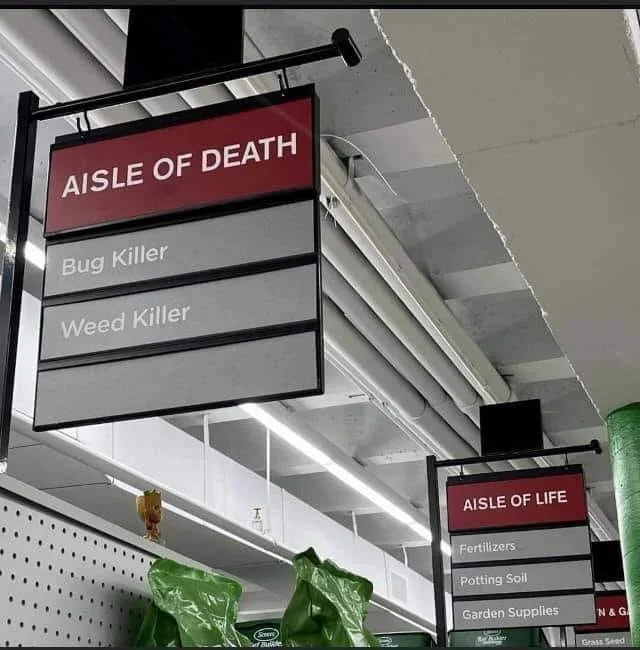 store meme