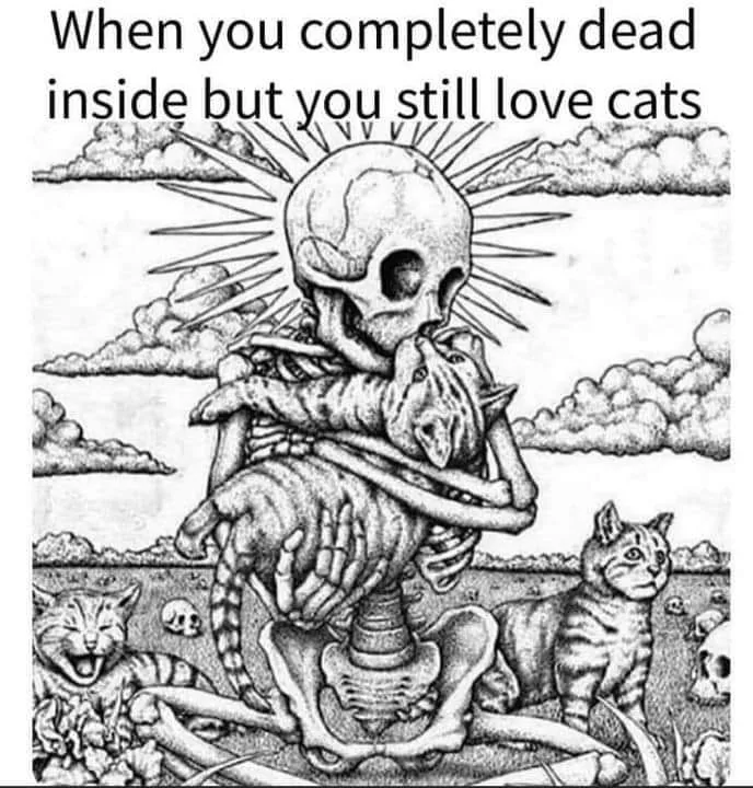 cat lover meme