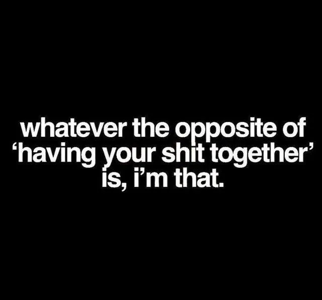 having your shit together meme