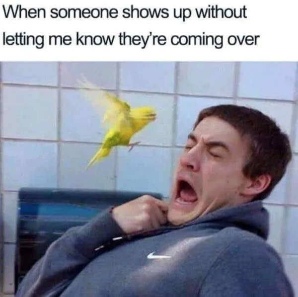 hosting meme
