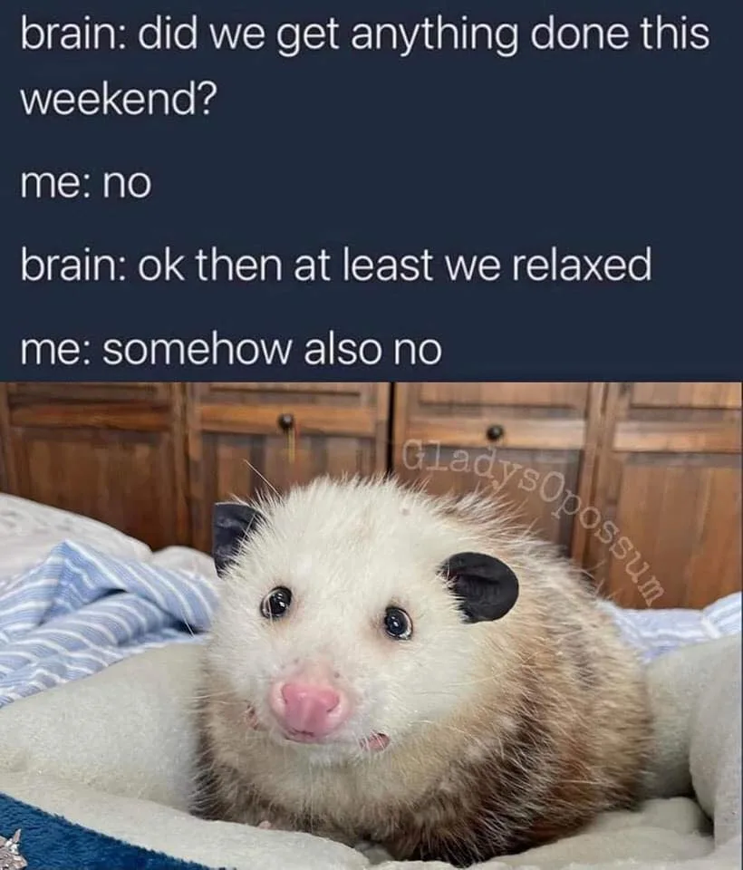 weekend meme