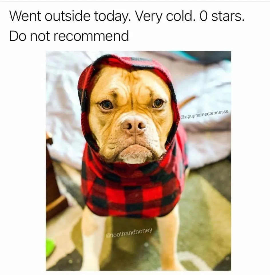 coldness meme