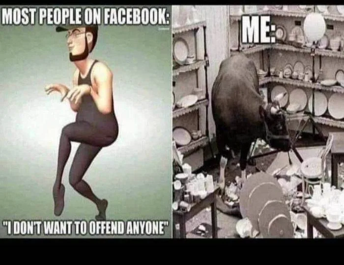 offensiveness meme