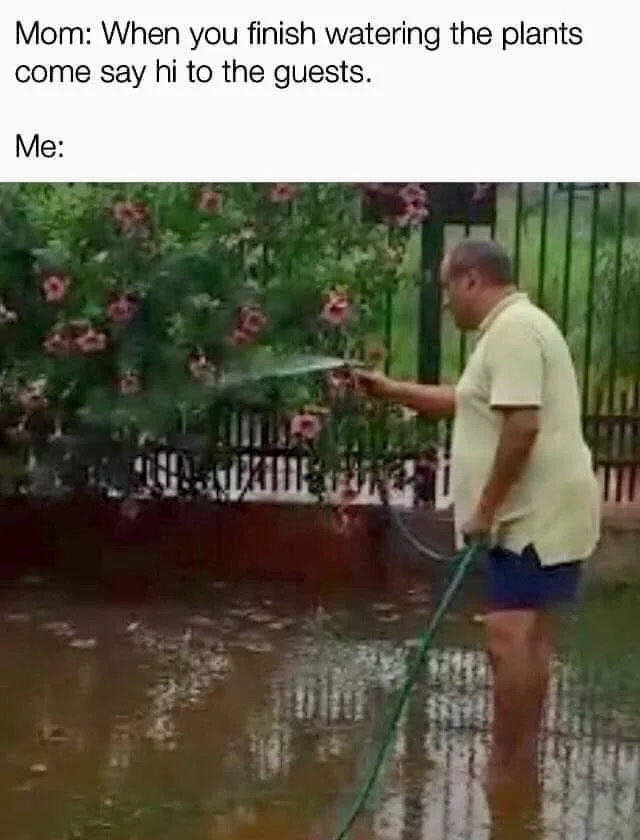 antisocial tendency meme