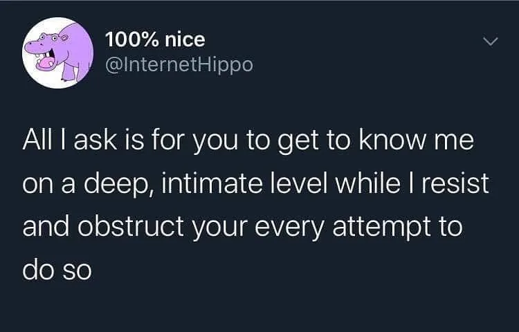 introversion meme