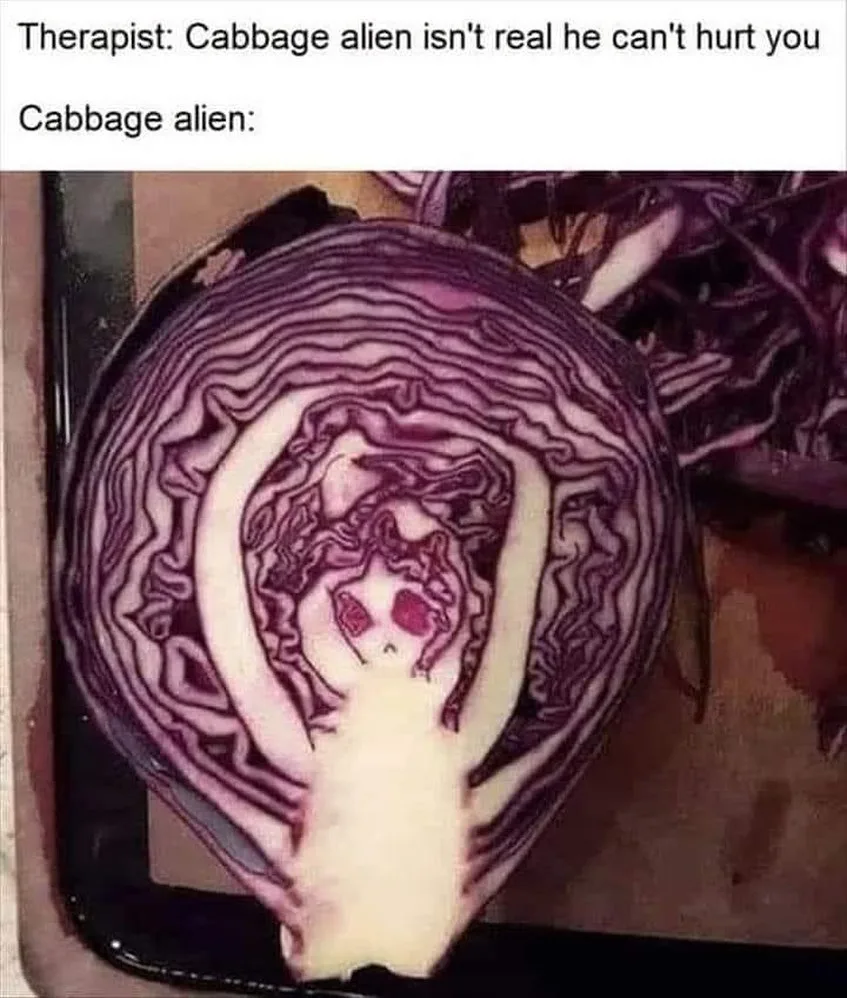cabbage meme