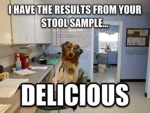 stool sample meme