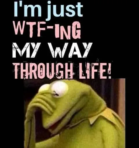 WTF meme