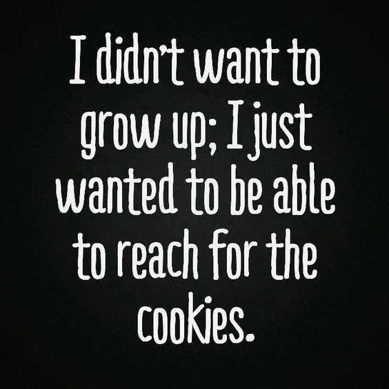 cookie meme