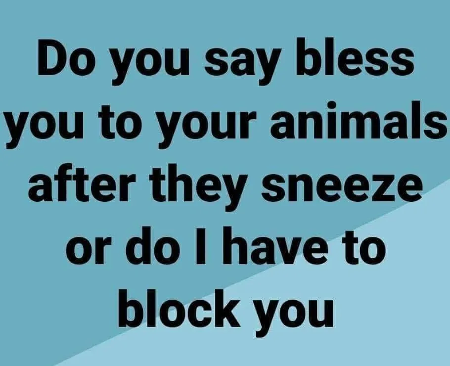 sneeze meme