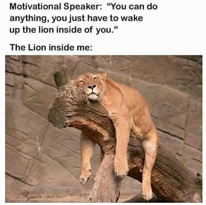lack of motivation meme