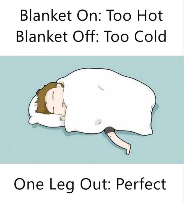 blanket meme