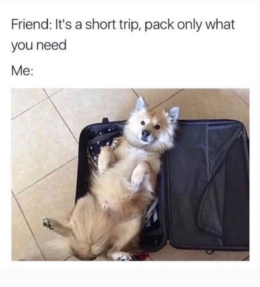 suitcase meme