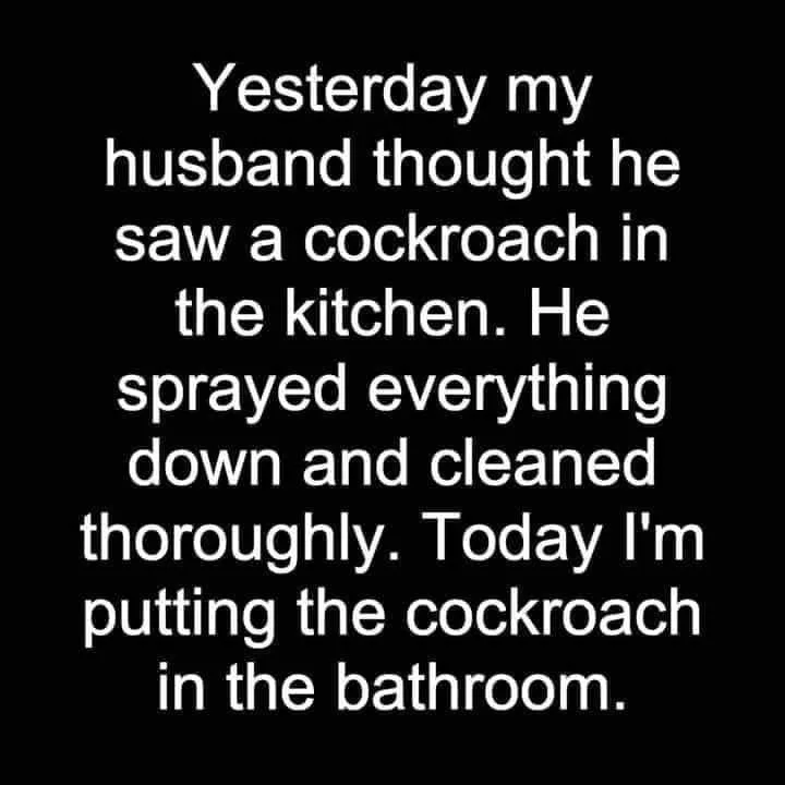 cockroach meme