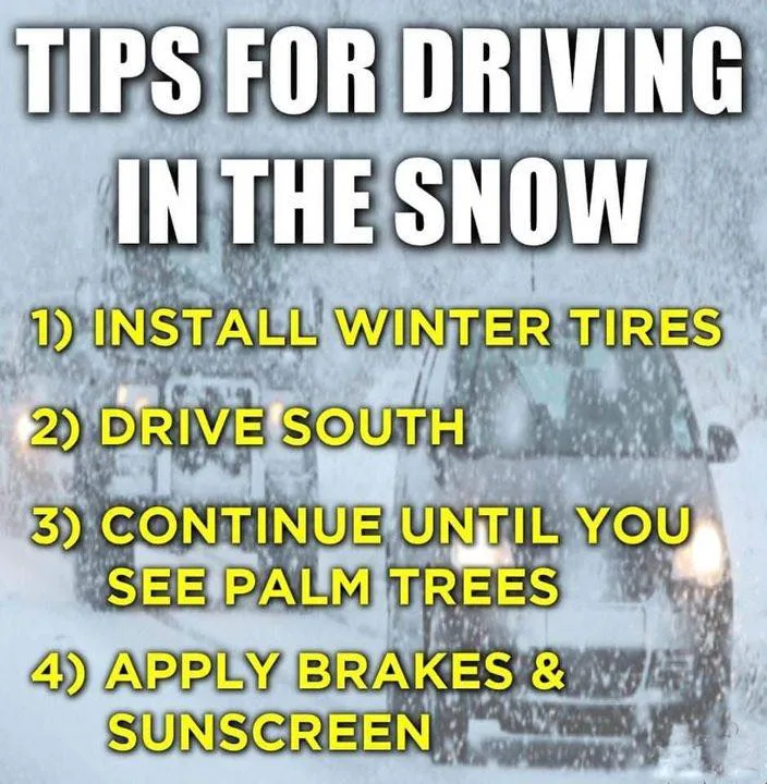 Driving in the snow meme