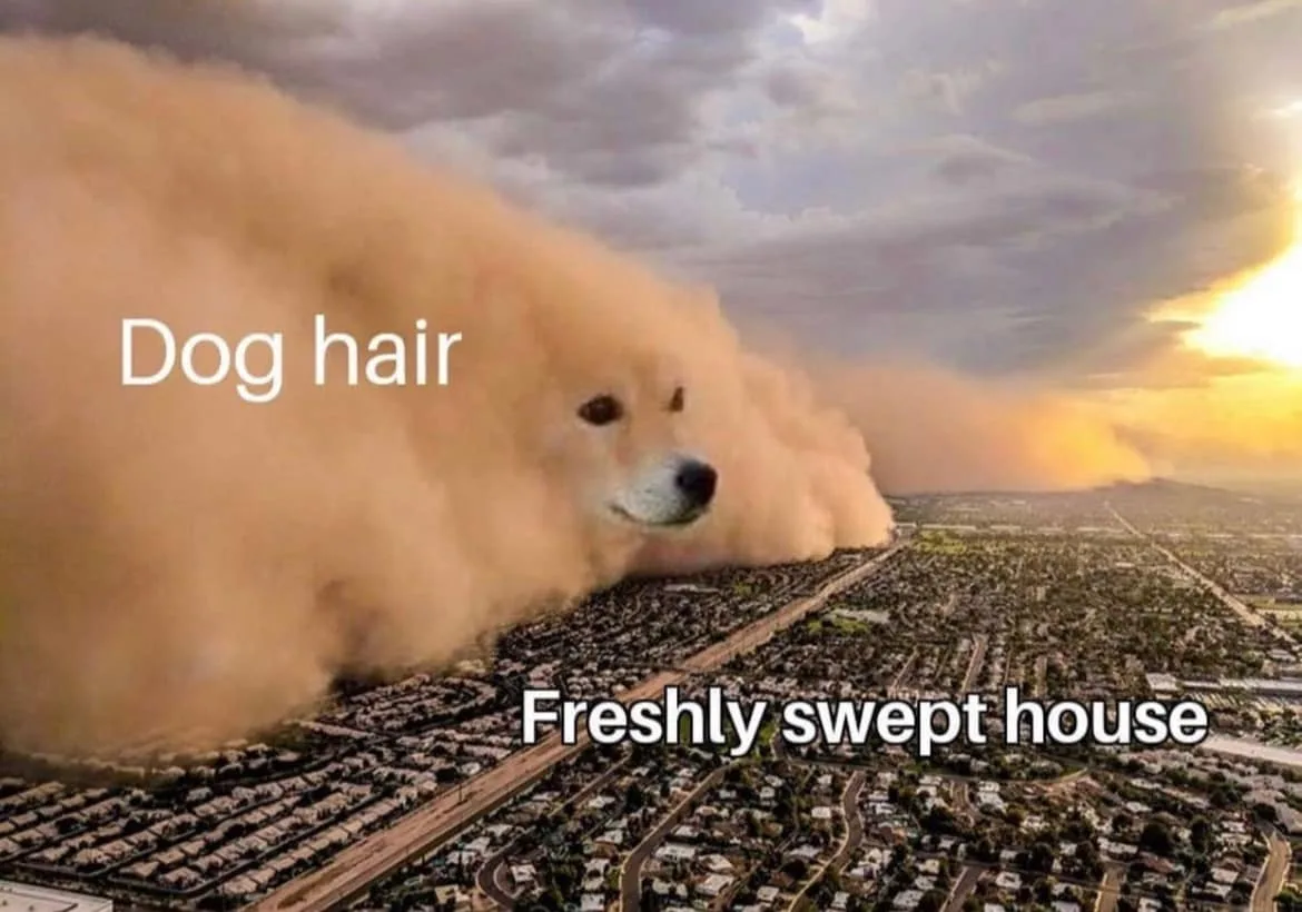 sweeping meme