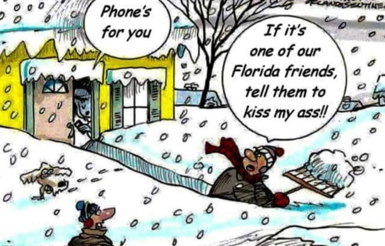 shoveling snow meme