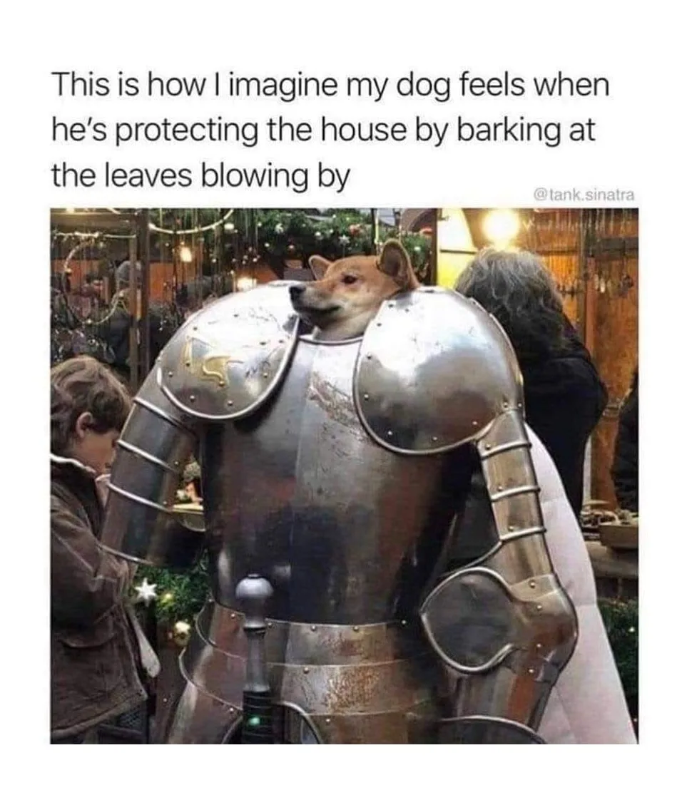 guard dog meme