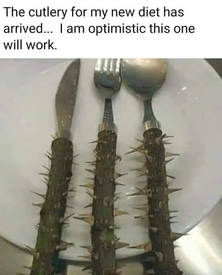 diet meme
