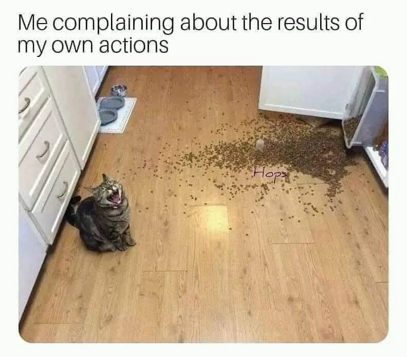 consequences meme