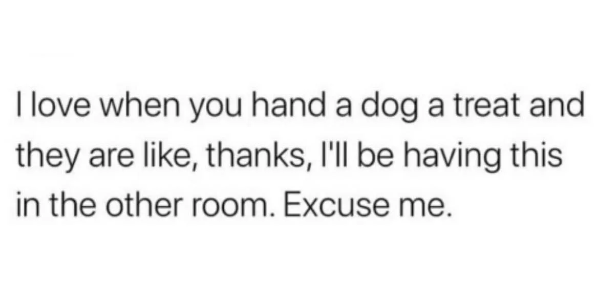 dog treat meme