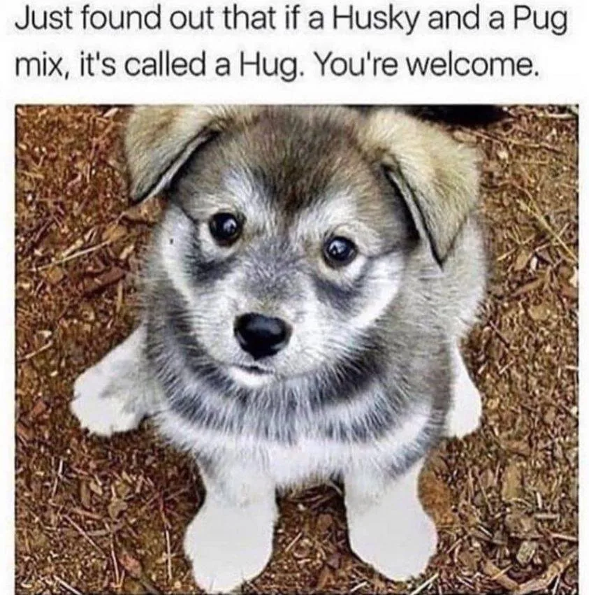 hug meme