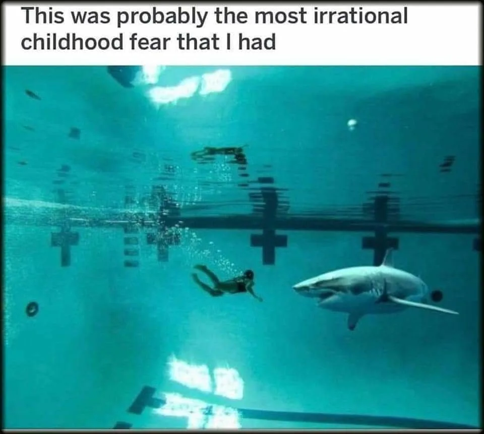 shark attack meme