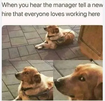 manager meme