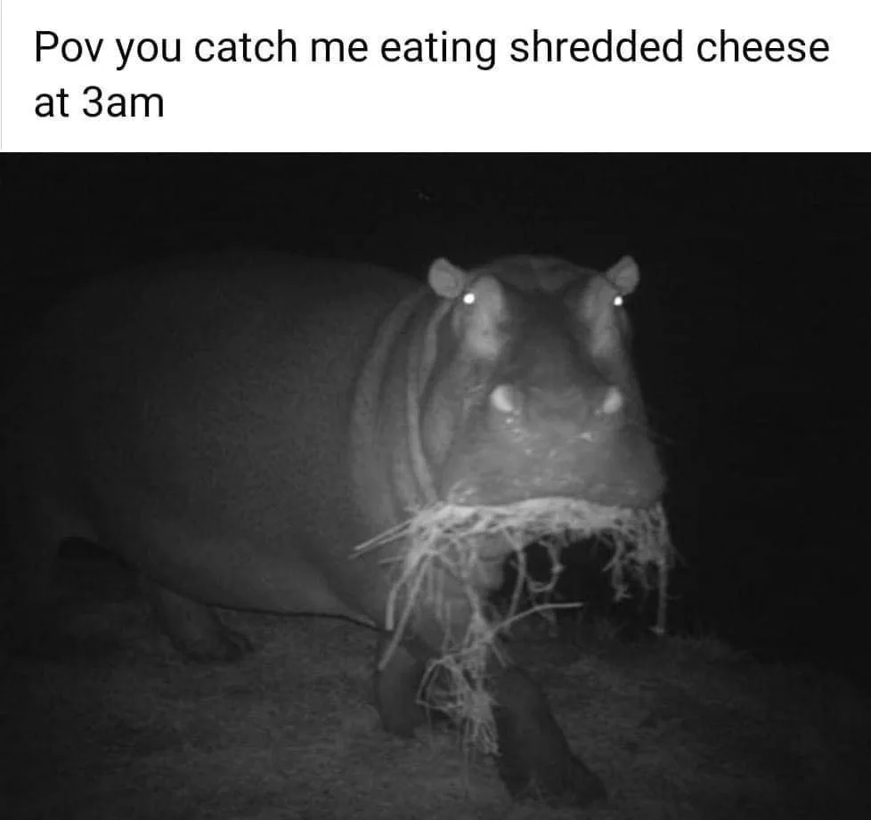 cheese meme