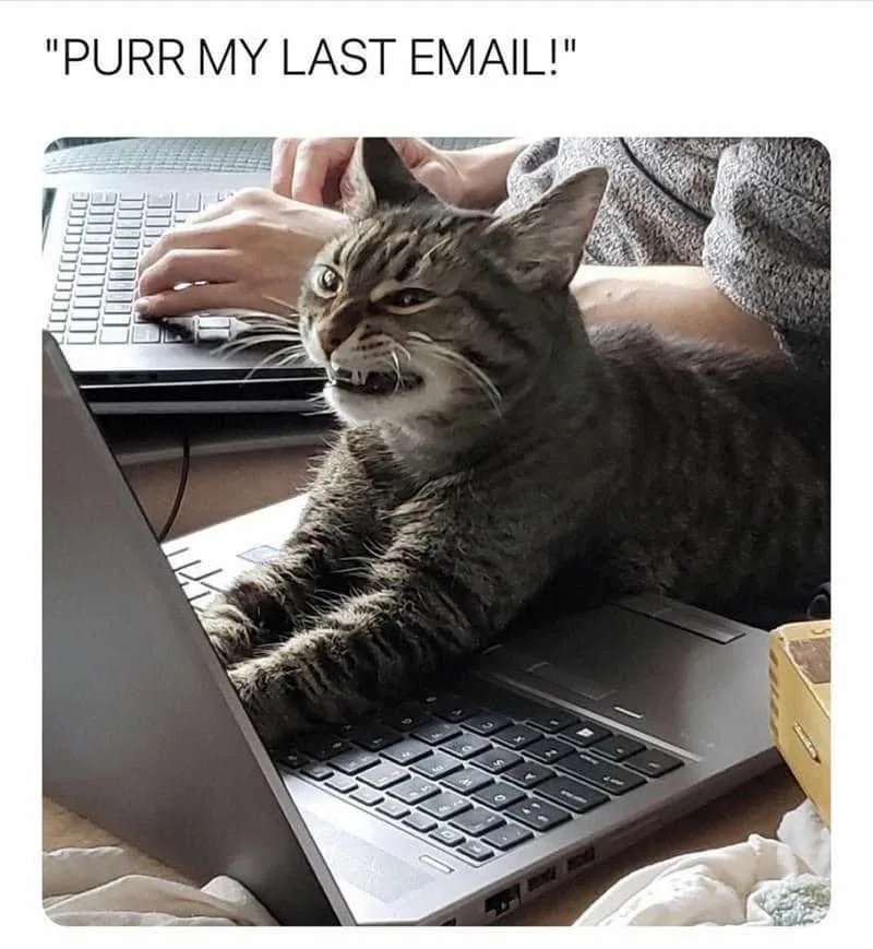 email meme