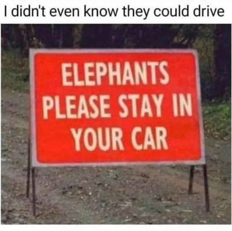 elephant meme